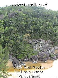 légende: Plage Telok Pandan Kecil Bako National Park Sarawak
qualityCode=raw
sizeCode=half

Données de l'image originale:
Taille originale: 181088 bytes
Temps d'exposition: 1/300 s
Diaph: f/400/100
Heure de prise de vue: 2002:09:13 16:07:54
Flash: non
Focale: 42/10 mm
